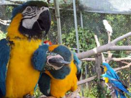 Put your head on my shoulder