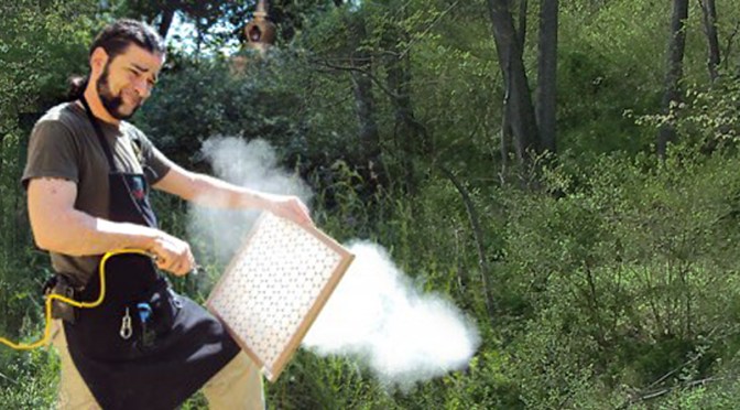 Do You Love Dust & Dander?