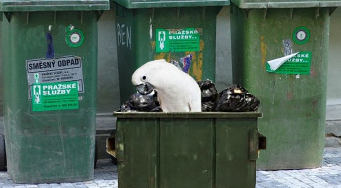 Don’t Throw Me Away