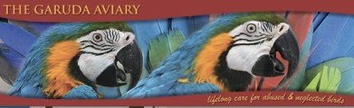 Garuda Aviary Banner