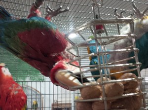 IMG_20141207_183025 cropped