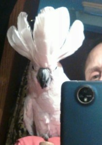 IMG_305077421803895_kindlephoto-305091169