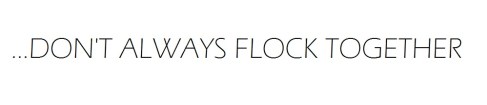 Dont't always flock...