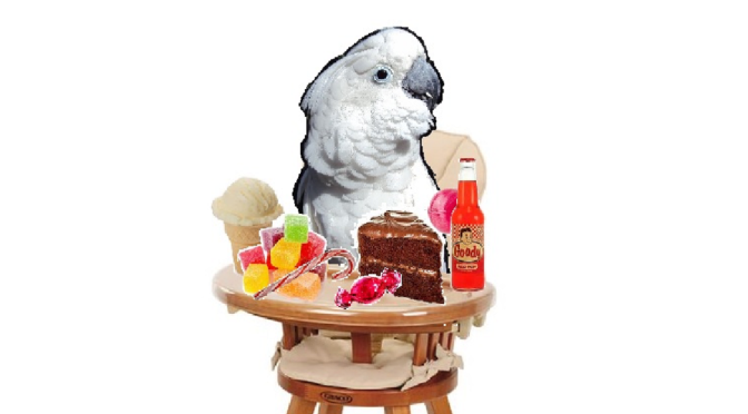 Rich Diet = Naughty Bird