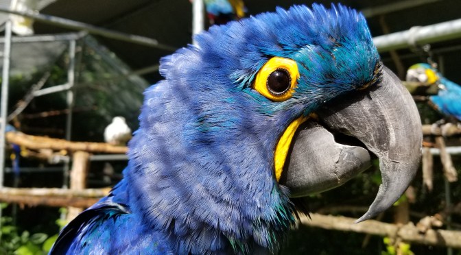 2019 Holiday Perspective